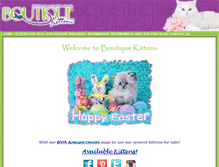 Tablet Screenshot of boutiquekittens.com